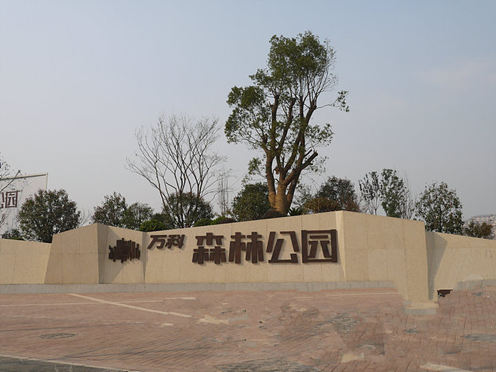 電表用於合肥（féi）萬科森林（lín）公園